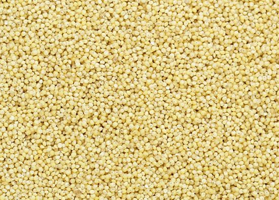 Organic Little Millet Seeds, Shelf Life : 12months