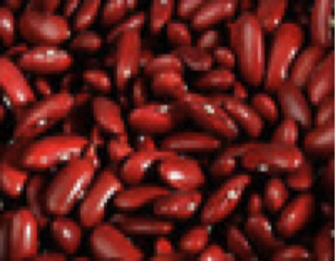 Small Red Kidney Bean