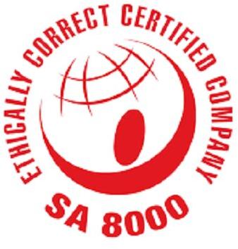 SA 8000 Consultancy in Delhi