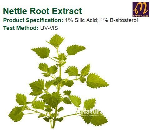 Nettle Root Extract