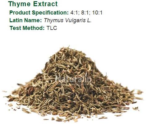 Thyme Extract