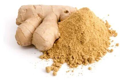 Arizone ginger powder, Packaging Type : Bag