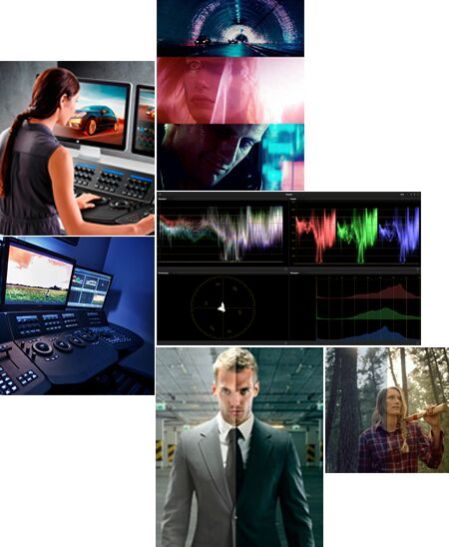 Mslive Broadcasting SERVICES