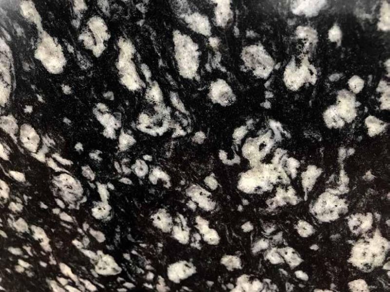 Plain Dotted Polished Coin Black Granite Slab, for Flooring, Wall, Kitchen Countertop etc., Specialities : Heat Resistance