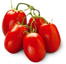 fresh tomatoes