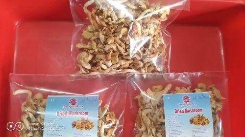 Dried Oyster Mushrooms, Packaging Type : Pouch Pack