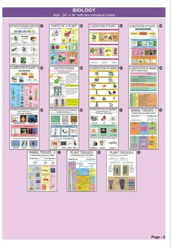 Colourful PVC Biology Chart