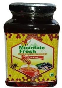 500gm Mountain Fresh Jamun Honey, Certification : FSSAI Certified