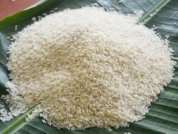 Kolam Steam Rice