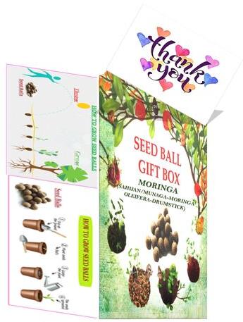 MGBN moringa seed, Packaging Type : box