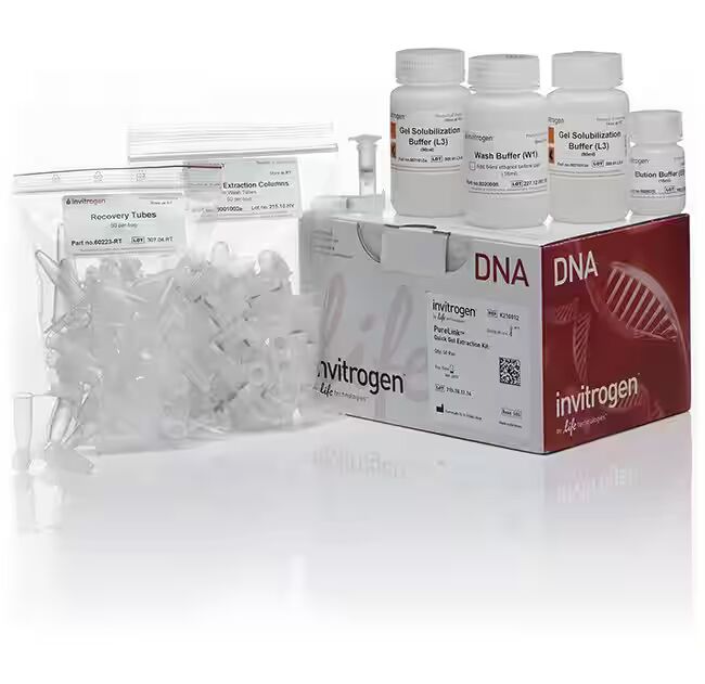 Invitrogen PureLink&amp;trade; Quick Gel Extraction Kit