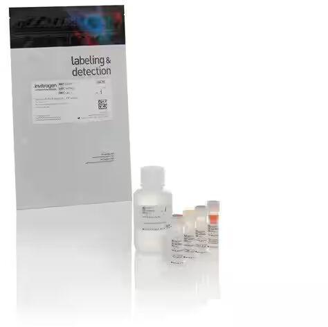 Invitrogen Qubit&amp;amp;trade; Protein and Protein Broad Range (BR) Assay Kits