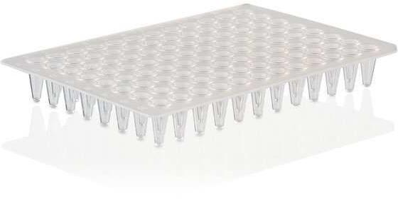 Thermo Fisher PCR Plate, 96-well, low profile, non-skirted