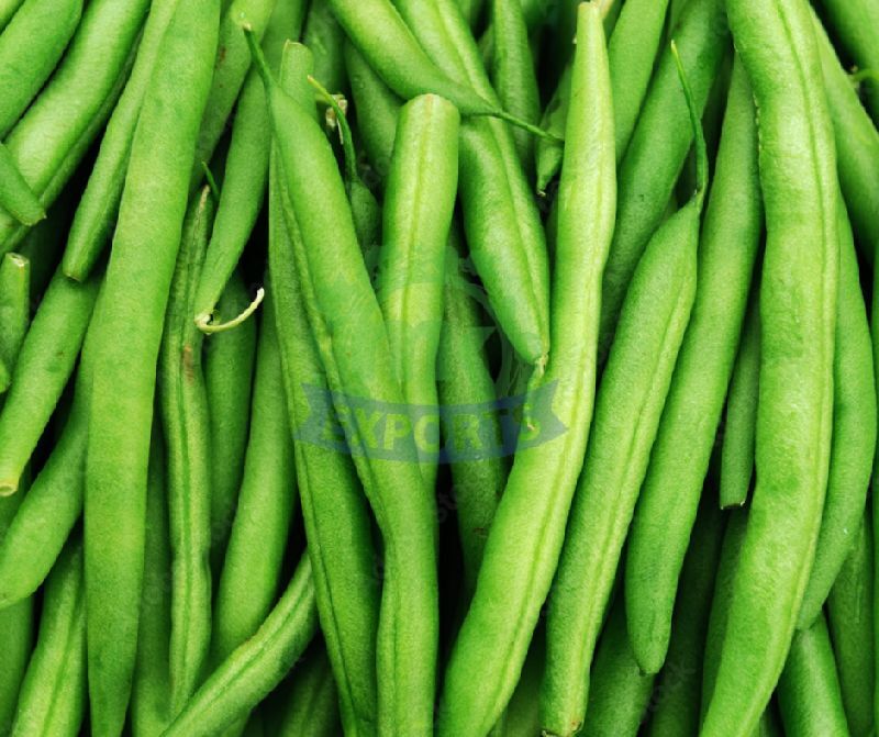 Fresh French Beans, for Cooking