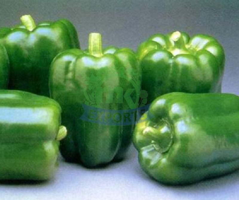 fresh green capsicum