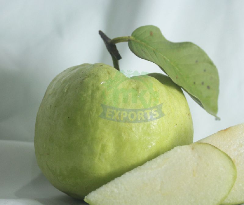 Natural Fresh White Guava, for Human Consumption, Certification : FSSAI Certified