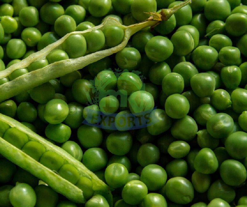 Natural Fresh Peas, for Human Consumption