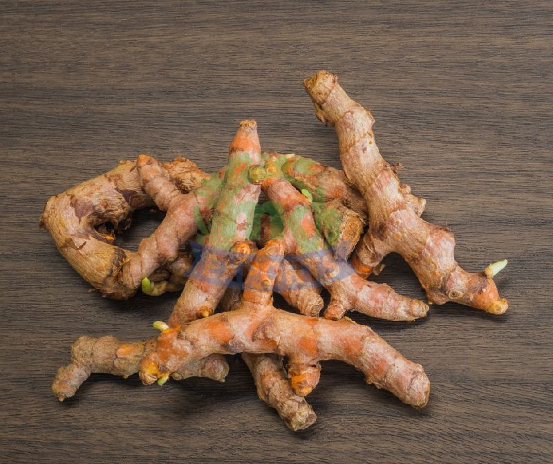 Natural Fresh Raw Turmeric, for Cooking, Form : Roots