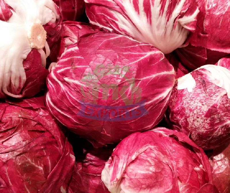 Natural Fresh Red Cabbage, for Cooking, Feature : Healthy