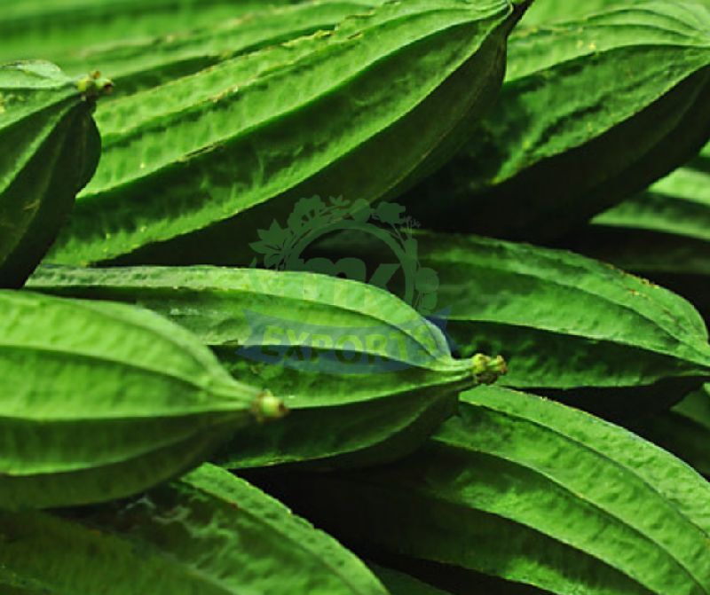 Natural Fresh Ridge Gourd, for Human Consumption