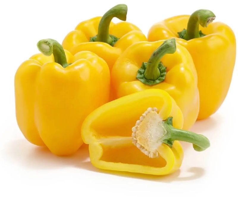 Oval Fresh Yellow Capsicum, for Cooking, Packaging Type : Plastic Bag