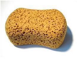 Sponge
