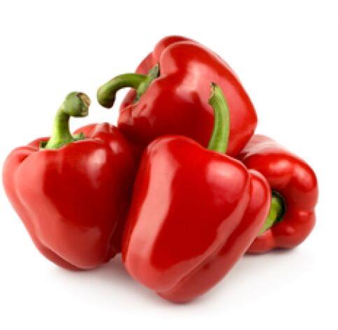 Organic Fresh Red Capsicum, for Home, Hotel