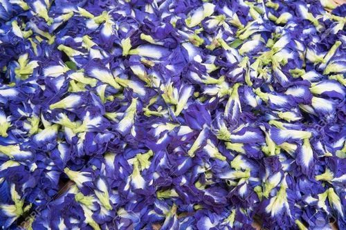 Dried Butterfly Pea Flowers