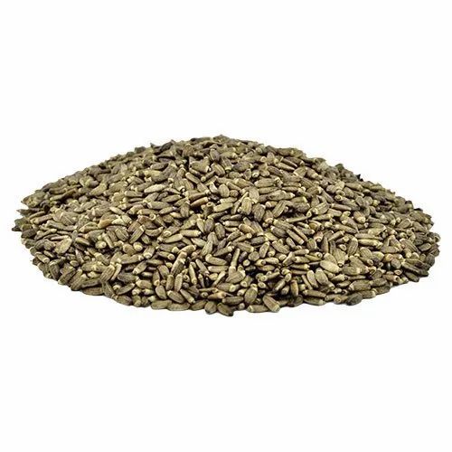 Milk Thistle Seeds, for Medicinal, Style : Dried