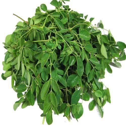 moringa leaves