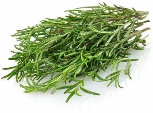 Organic Rosemary Leaves, Style : Dried