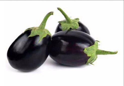 fresh brinjal