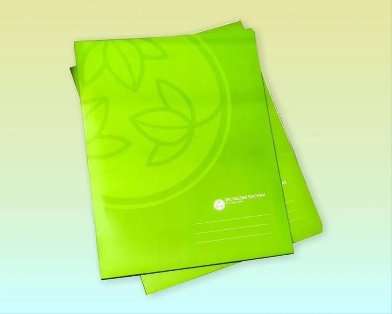 Green Paper Hospital file