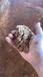 Brown Sawdust Powder, for Boilers, Packaging Type : Bag