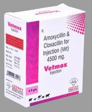 Powder AMOXYCILLIN AND CLOXACILLIN INJECTION, for Veterinary, Prescription : Prescription