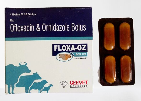 Ofloxacin And Ornidazole Bolus, For Animals Use, Shelf Life : 2 Yrs