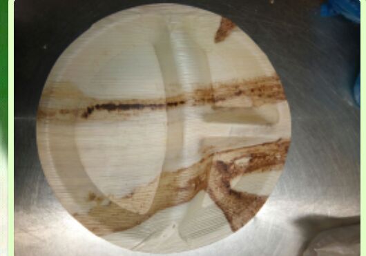 Round Areca Leaf Partition Plates, for Serving Food, Size : 25 Cm