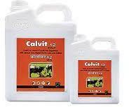 Calvit Veterinary Syrup