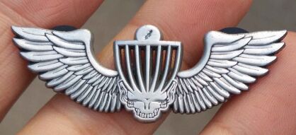 Ace Your Face WINGS Pin