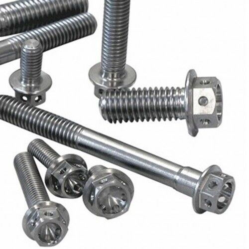 Stainless Steel Bolts