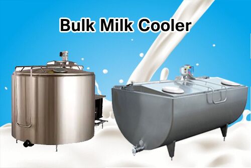 SS 304 Bulk Milk Cooler