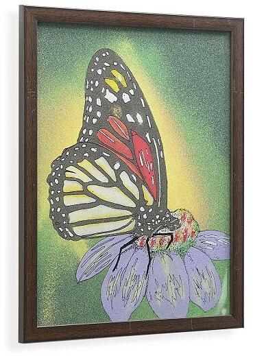 Plastic Butterfly Wall Hanging Painting, Color : Multi color