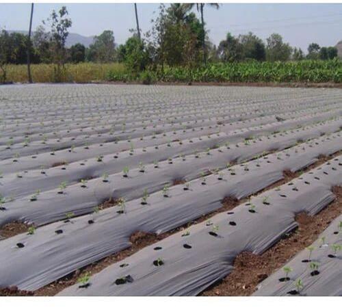 Silver Hdpe Agricultural Mulching Film Roll
