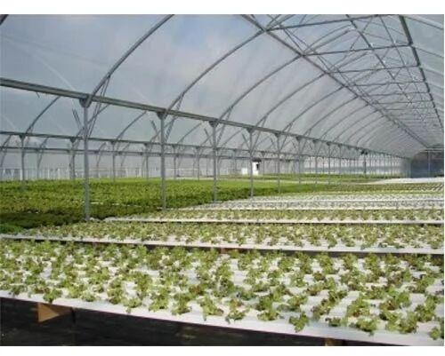 Plastic Greenhouse Film, Packaging Type : Roll