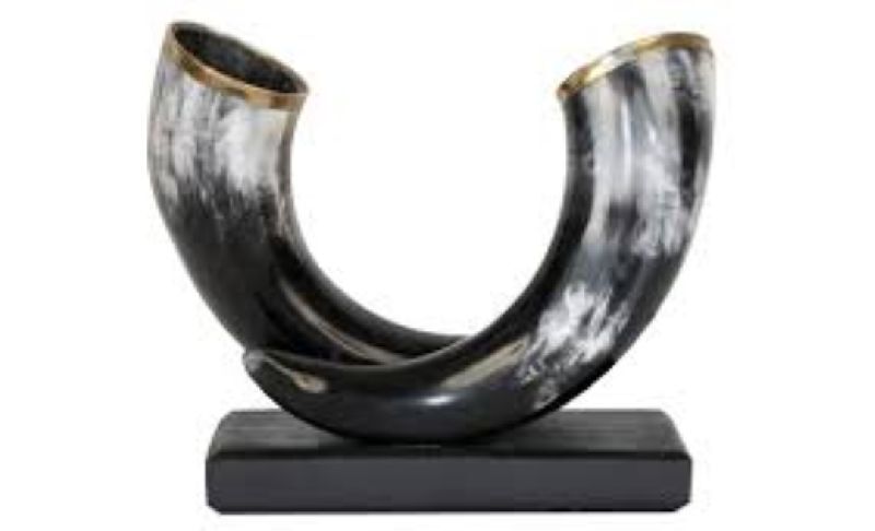 Horn for gift