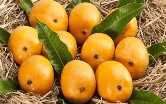 Organic alphonso mango