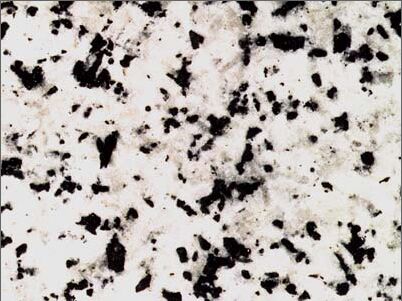 Blanco Berrocal Granite Slab