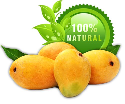ratnagiri alphonso mangoes