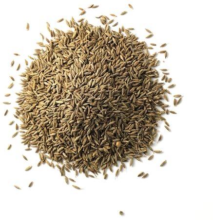 Cumin seed, Packaging Size : 30Kg