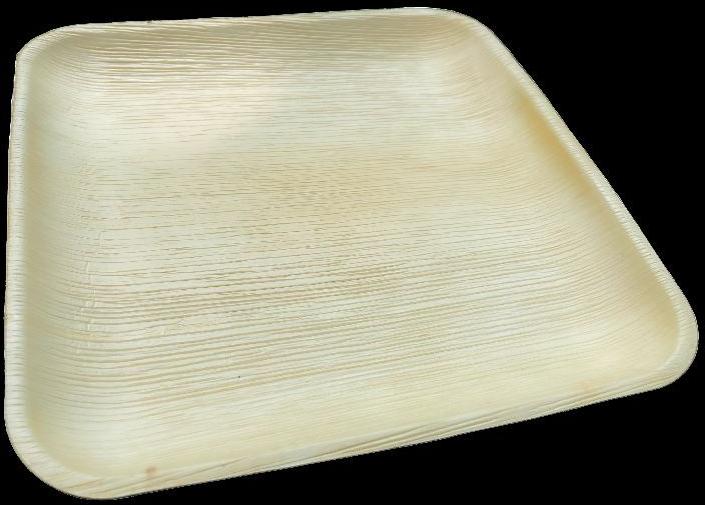 Areca Leaf 10x10 Square Plate, for Serving Food, Feature : Biodegradable, Disposable, Eco Friendly